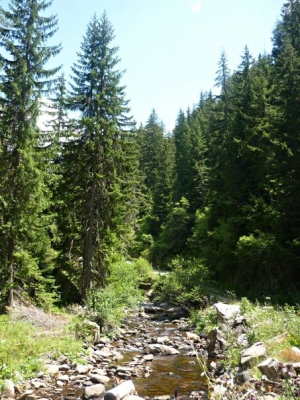 Село Мугла